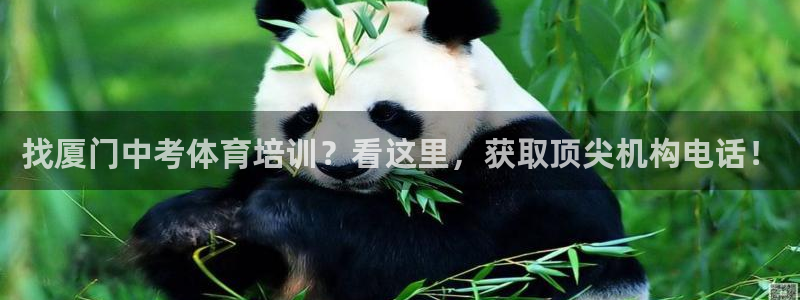 耀世平台开户流程