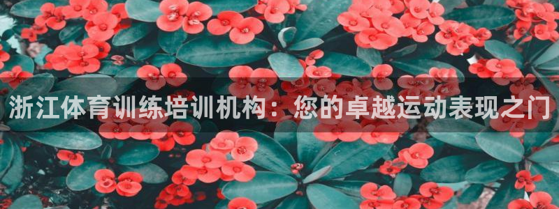 耀世集团董事长儿子：浙江体育训练培训机构：您的卓越运