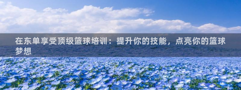 耀世平台丁6.7.5.1.3.8：在东单享受顶级篮球