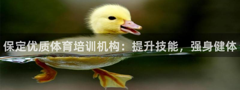 耀世娱乐挂机事件详情：保定优质体育培训机构：提升技能