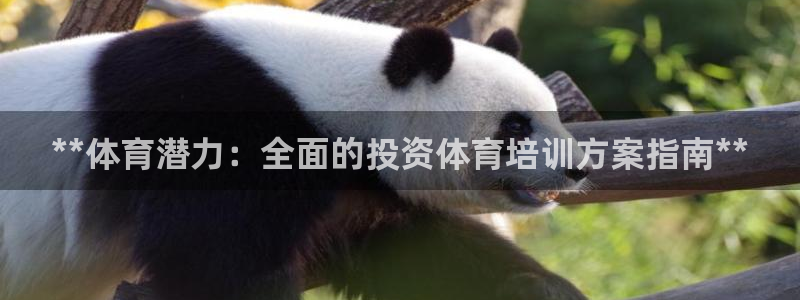耀世平台注册步骤微博：**体育潜力：全面的投资体育培