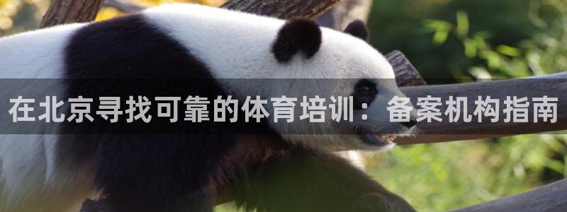 耀世集团董事长是谁啊：在北京寻找可靠的体育培训：备案