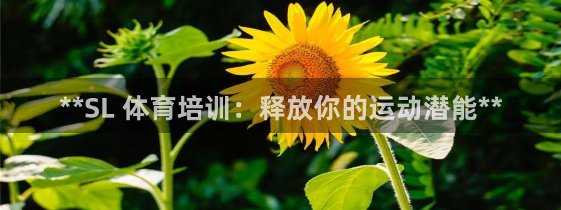 耀世登场的意思