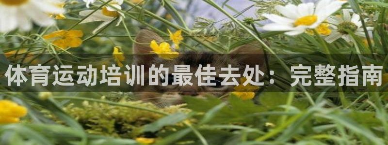 耀世平台地址