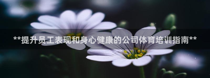 耀世平台注册登录不上：**提升员工表现和身心健康的公
