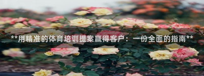 耀世娱乐百科官网：**用精准的体育培训提案赢得客户：