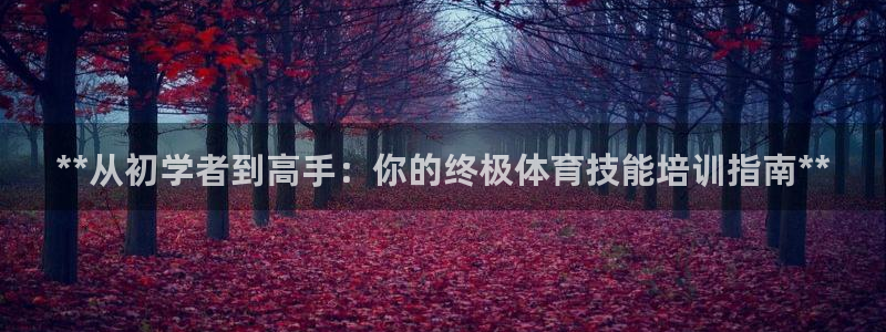 耀世平台皮皮虾怎么样：**从初学者到高手：你的终极体