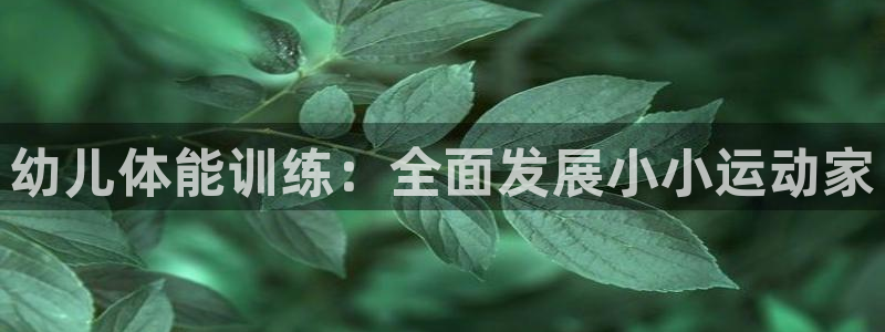 耀世娱乐总代理是谁：幼儿体能训练：全面发展小小运动家