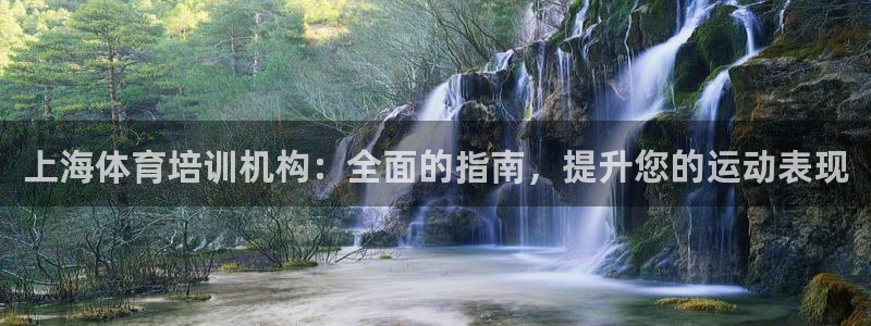 耀世挑战怎么过：上海体育培训机构：全面的指南，提升您