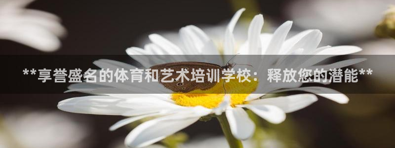 耀世娱乐招商注册 知乎账号：**享誉盛名的体育和艺术
