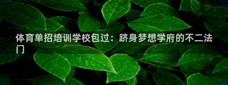 耀世天下怎么接