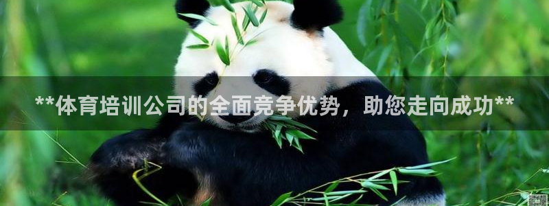 耀世娱乐怎么注册：**体育培训公司的全面竞争优势，助