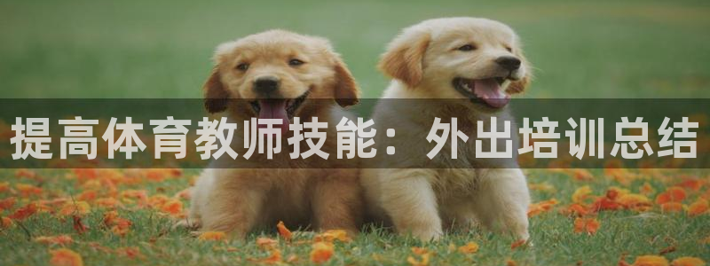 耀世平台遇 411o31 平台