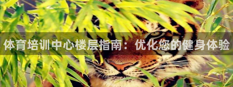 耀世啥意思：体育培训中心楼层指南：优化您的健身体验