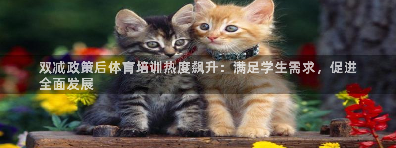 耀世平台注册最新地址在哪：双减政策后体育培训热度飙升