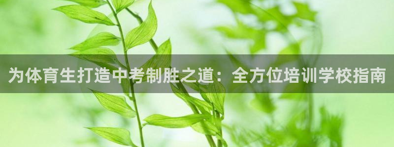 四川耀世发展集团