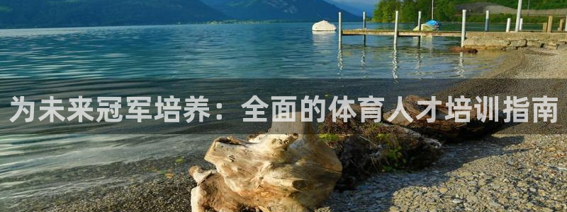 耀世娱乐含山县：为未来冠军培养：全面的体育人才培训指