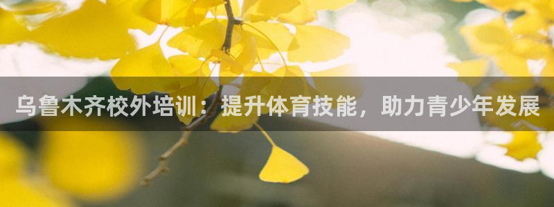 耀世娱乐中国创新：乌鲁木齐校外培训：提升体育技能，助