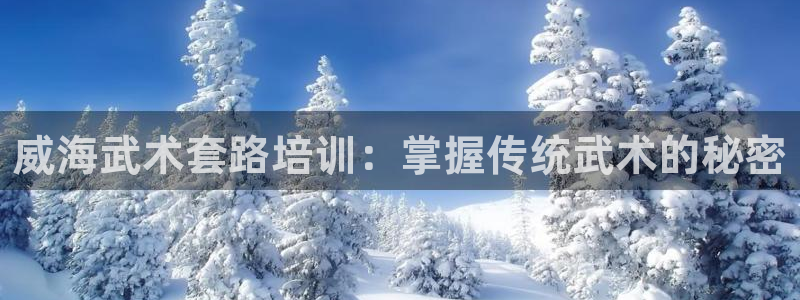 耀世娱乐安全吗可靠吗：威海武术套路培训：掌握传统武术