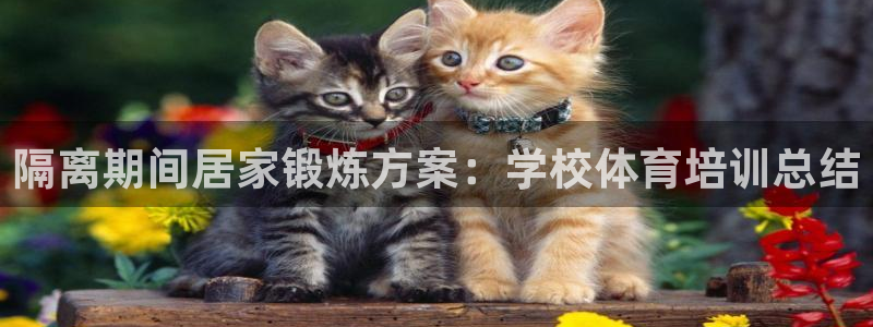 耀世集团视频介绍下载：隔离期间居家锻炼方案：学校体育