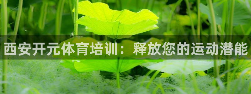 耀世平台皮皮虾：西安开元体育培训：释放您的运动潜能
