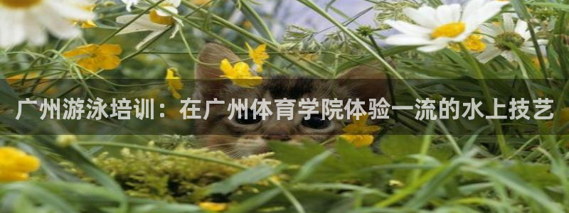 耀世娱乐招商注册 知乎