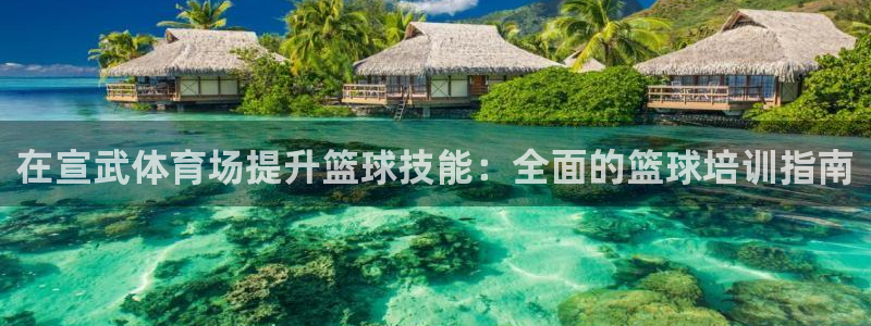 耀世x4：在宣武体育场提升篮球技能：全面的篮球培训指