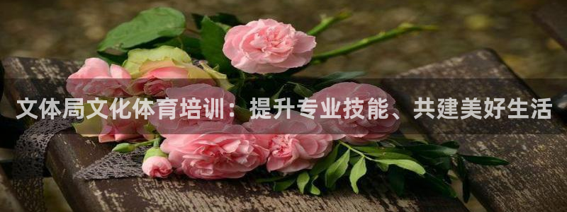 耀世集团做什么的：文体局文化体育培训：提升专业技能、