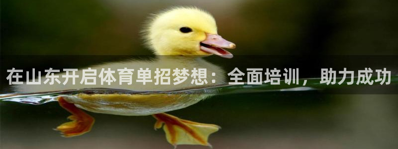 耀世娱乐app下载安装手机版：在山东开启体育单招梦想