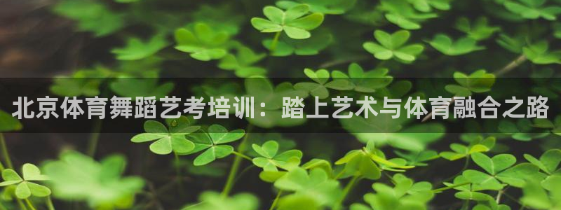 耀世平台最新注册地址在哪看：北京体育舞蹈艺考培训：踏
