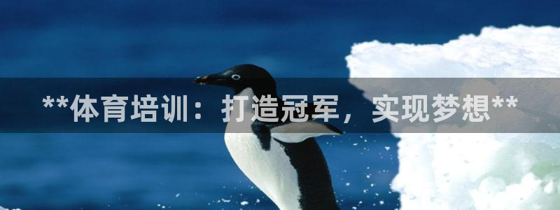 耀世娱乐骗局曝光：**体育培训：打造冠军，实现梦想*