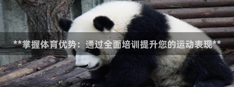耀世平台代理注册登录失败
