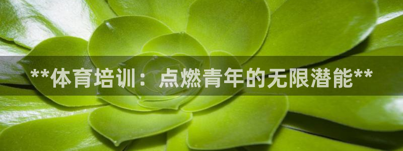 耀世娱乐在线登录官网入口下载