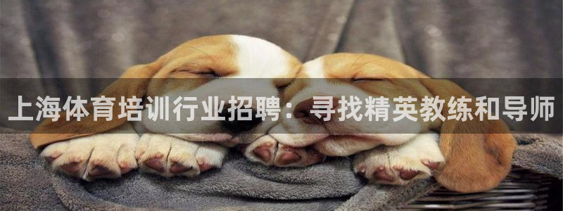 耀世平台将7O777