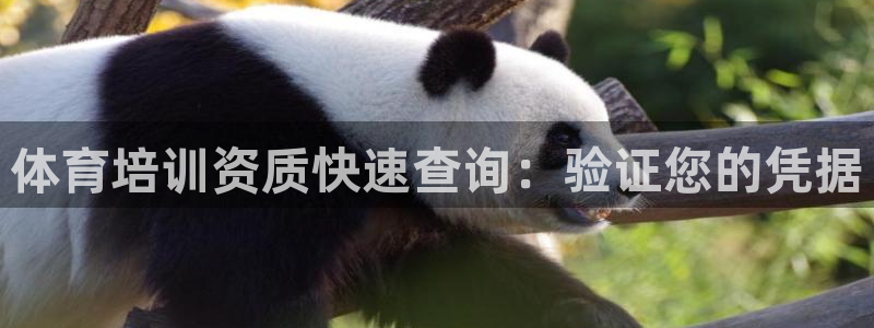 耀世集团小说：体育培训资质快速查询：验证您的凭据