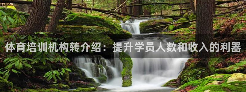 耀世登场什么意思：体育培训机构转介绍：提升学员人数和