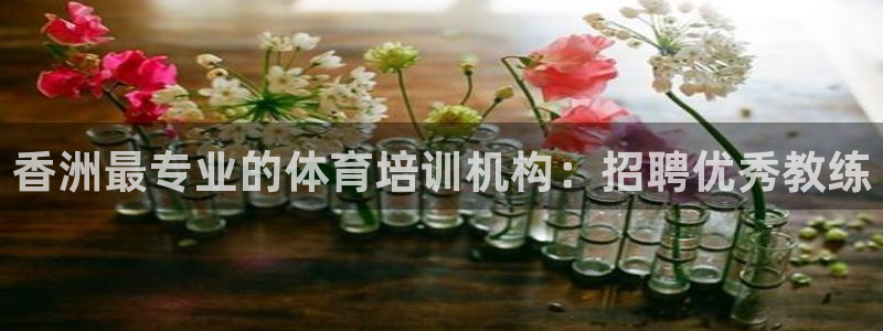耀世平台拿什么输入账号密码呢：香洲最专业的体育培训机构：招聘