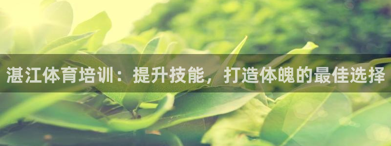 耀世娱乐挂机教程：湛江体育培训：提升技能，打造体魄的