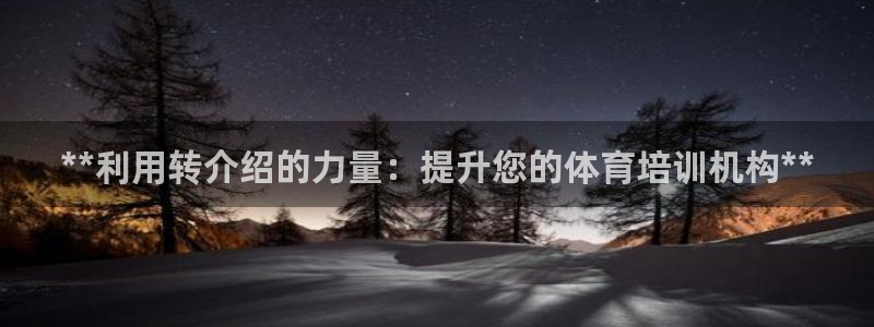 耀世平台的运营模式：**利用转介绍的力量：提升您的体