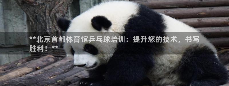 耀世官方网站入口：**北京首都体育馆乒乓球培训：提升您的技术