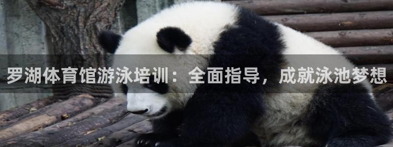 耀世娱乐提款多久到账户：罗湖体育馆游泳培训：全面指导