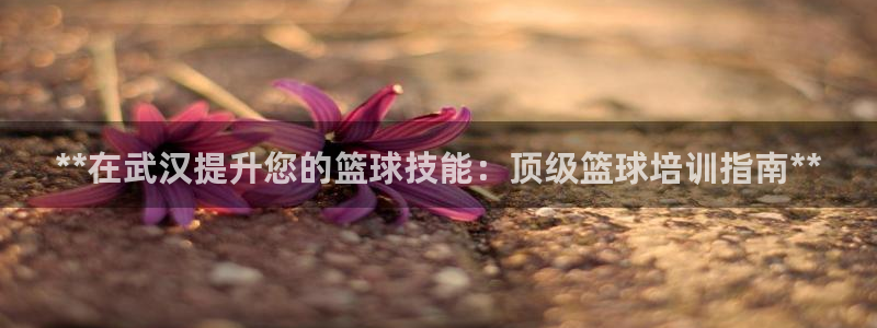 耀世娱乐软件下载安装：**在武汉提升您的篮球技能：顶