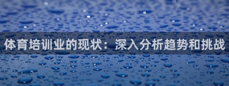 耀世盛典下载：体育培训业的现状：深入分析趋势和挑战