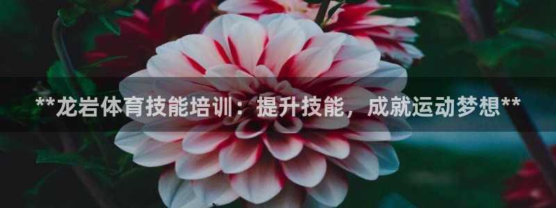 耀世和耀至的区别：**龙岩体育技能培训：提升技能，成