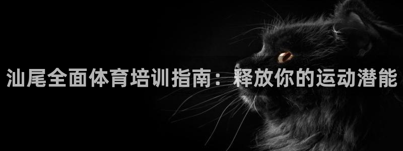 耀世平台的运营模式：汕尾全面体育培训指南：释放你的运