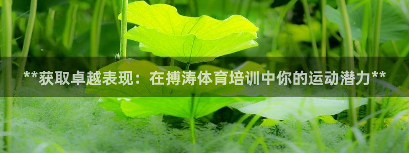 耀世捷科技：**获取卓越表现：在搏涛体育培训中你的运