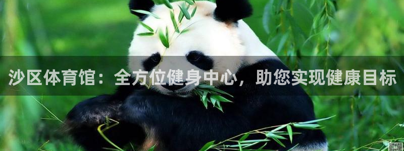 耀世娱乐官方网站下载：沙区体育馆：全方位健身中心，助