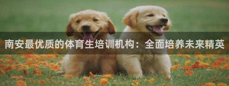 耀世娱乐平台主管：南安最优质的体育生培训机构：全面培