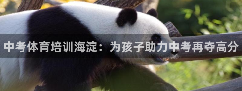 耀世娱乐app下载官网苹果：中考体育培训海淀：为孩子
