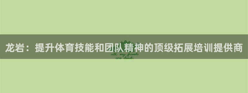 耀世娱乐是不是赚钱了：龙岩：提升体育技能和团队精神的